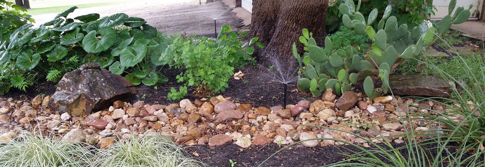 Landscape Irrigation