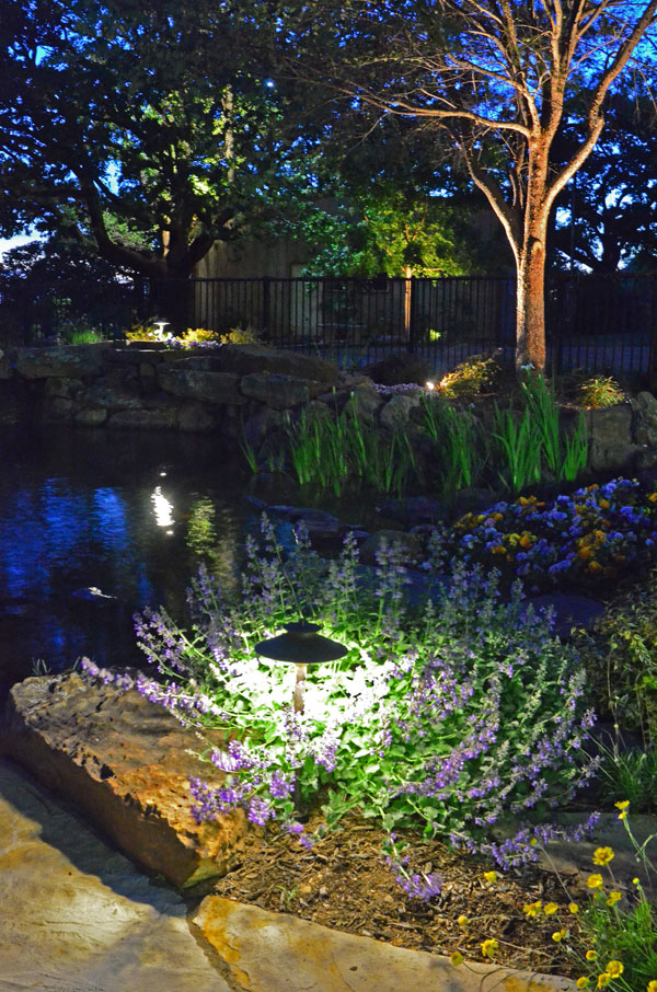 Landscape Lighting