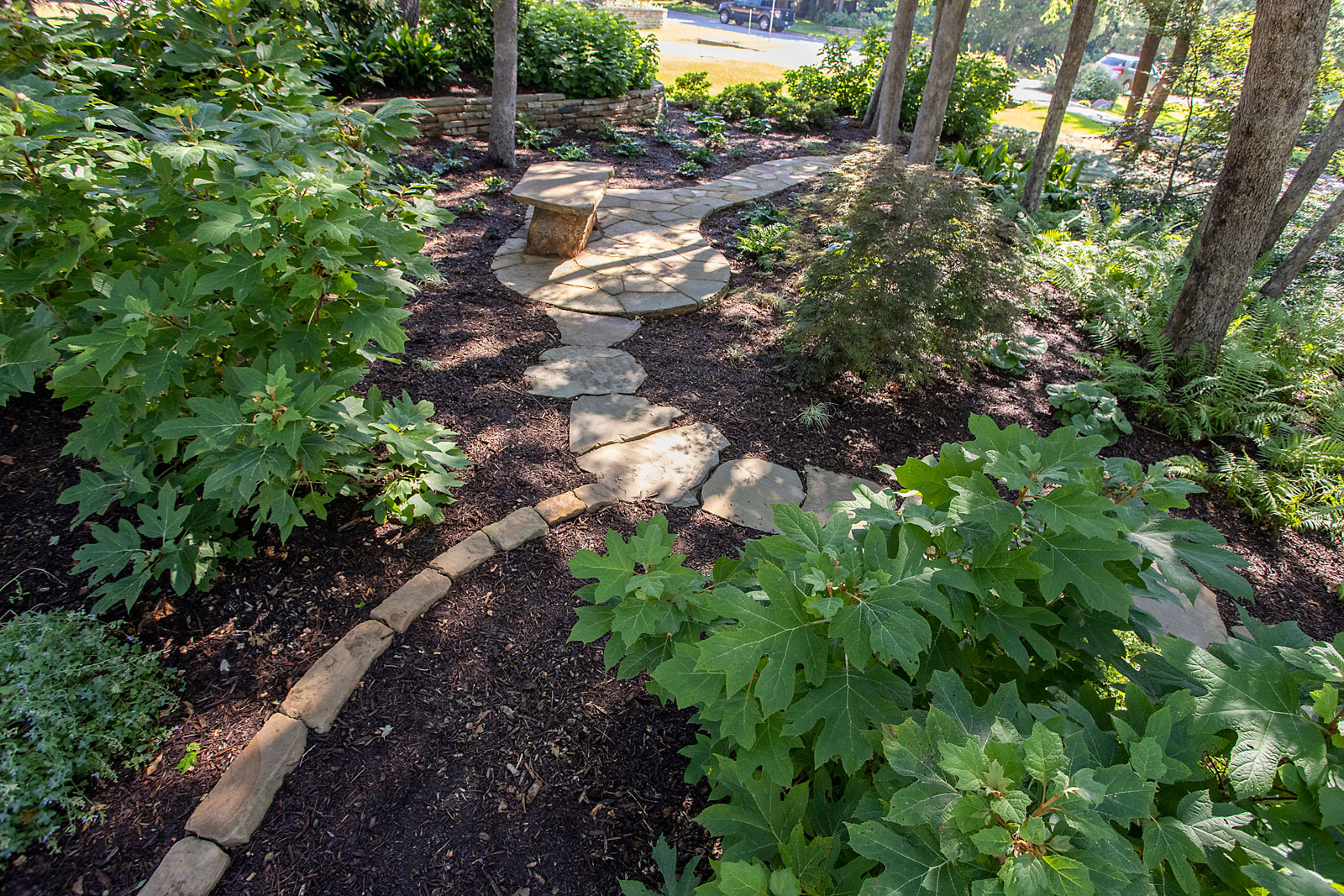 Landscape Design & Installation