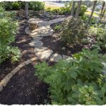 Landscape Design & Installation